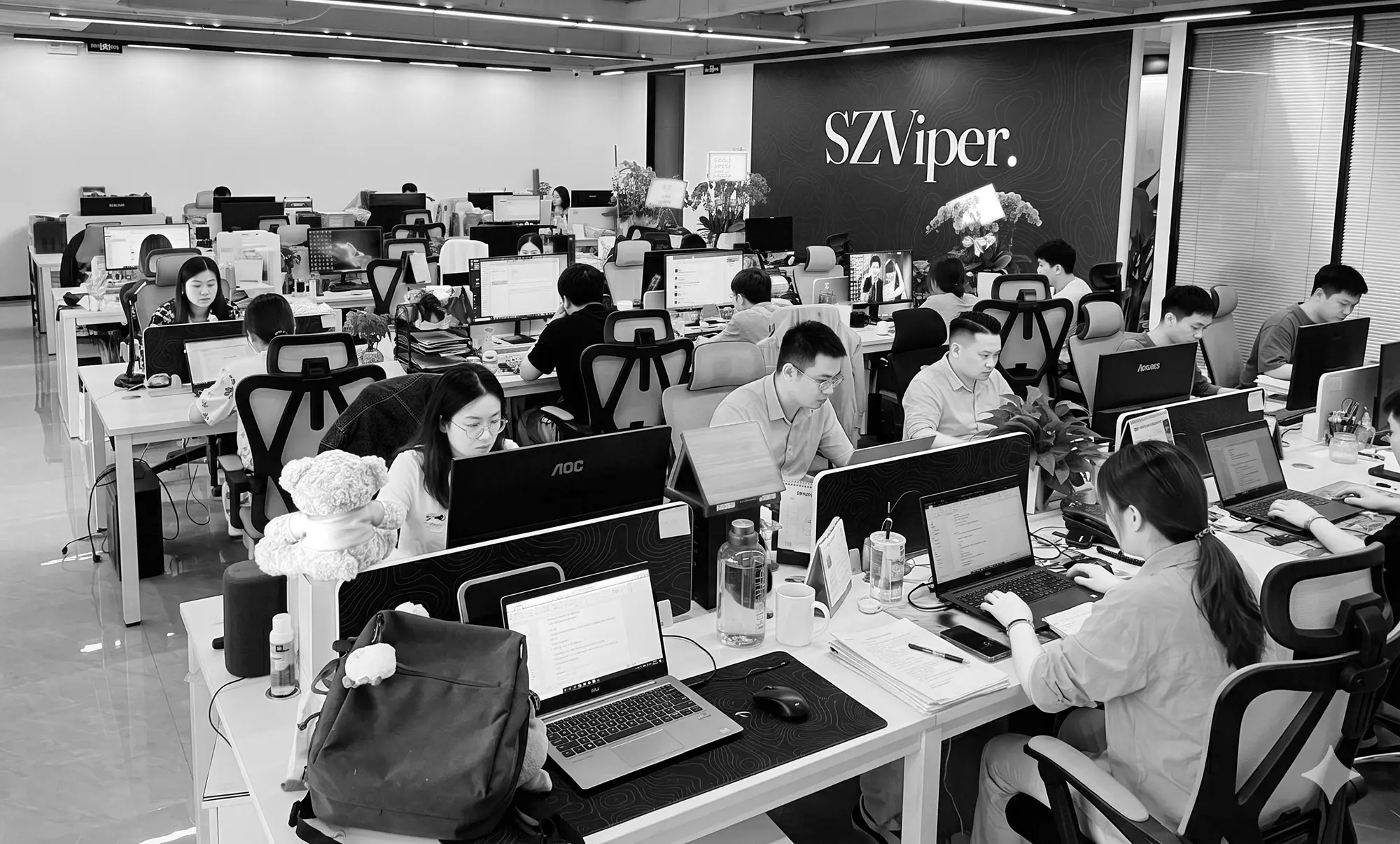 SZViper 深圳办公室